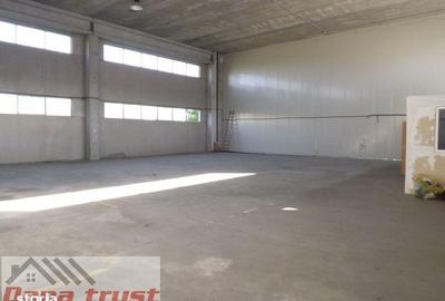 Spațiu comercial, de 430 mp, în Lugojului - 3