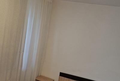 Apartament cu 3 camere decomandat în Prundu - 8