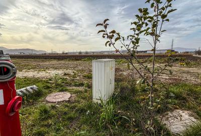 Teren industrial, intravilan, cu utilitati, Stupini, 11.600 mp - 11