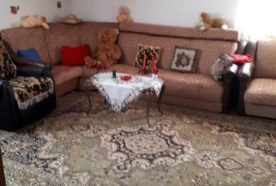 Casa / Vila ( P + E + Pod ) Zona Mitocul Dragomirnei - 11