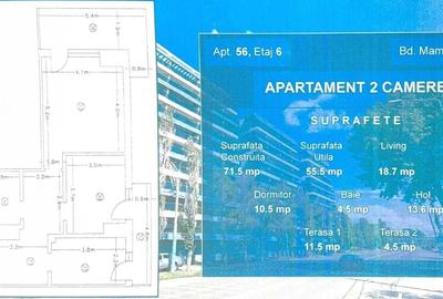 Apartament cu 2 camere decomandat în Exterior Vest - 5