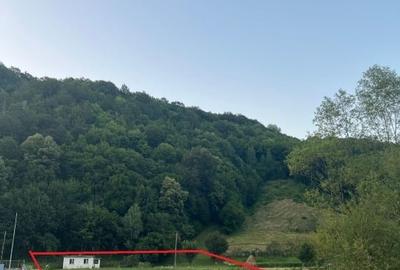 Teren intravilan de vanzare - comuna Sinca Noua, sat Paltin, jud BV