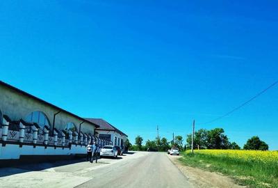 Popesti Frumusani Teren Construibil 560MP - 2