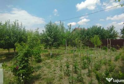 Casă cu 5 camere cu Teren 684 Mp în Podu Roș - 13