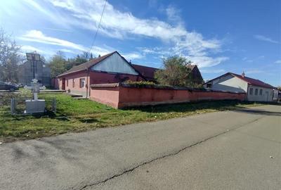 Casă individuală cu 5 camere cu Teren 1800 Mp în Nicolinț - 21