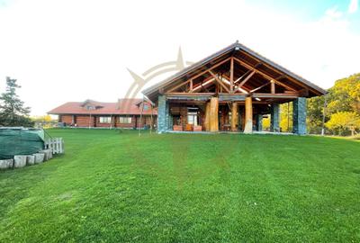 Casă cu 9 camere cu Piscina în Grădiștea - 4