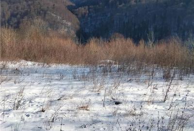 Spațiu comercial, în Central - 1