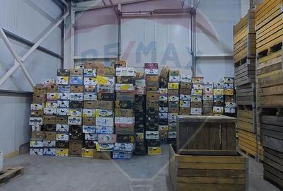 Spa?iu industrial de 880mp de vanzare - 4