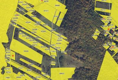 Teren Construcții intravilan de 5800 mp, în Florești - 1