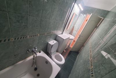 Apartament cu 2 camere nedecomandat, mobilat în Șagului - 10