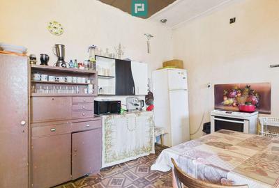 Casa cu Gradina Mare la 30 km de Timi?oara - 14