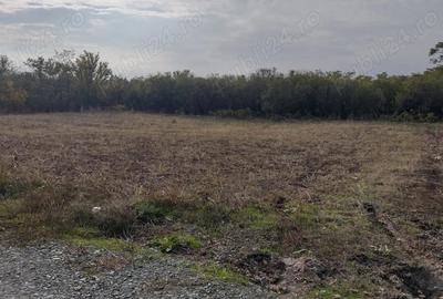 Vand casa cu teren 2000 m2 - 1