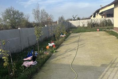 Mihailesti Popesti - 13