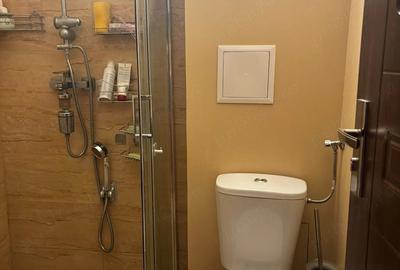 Apartament cu 3 camere decomandat în Rogerius - 3