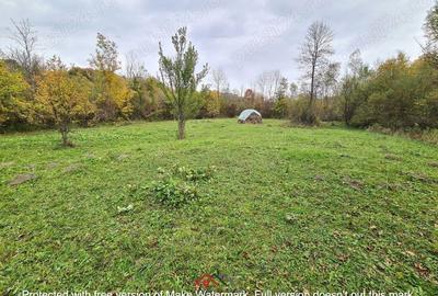 Casă cu Teren 14340 Mp în Breaza - 9