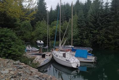 Cabana Colibi?a pe malul lacului - 5