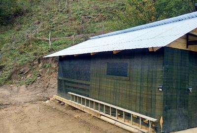 Casa de vanzare in Bistra -3800 mp teren - 6