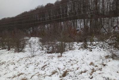 Spațiu comercial, în Cârțișoara - 2