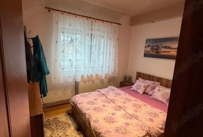 Apartament cu 3 camere semidecomandat în Buziașului - 1