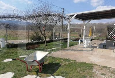 Casă cu 2 camere cu Teren 1800 Mp în Vârfurile - 8