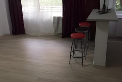 Lacul Tei-  garsoniera 40mp - mobilata modern - 10