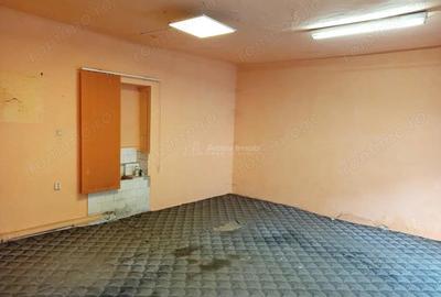 Oravita, Casa + Spatiu Comercial, ZERO COMISION - 4