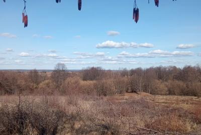 Teren de 5000 mp, în Vicovu de Sus - 3