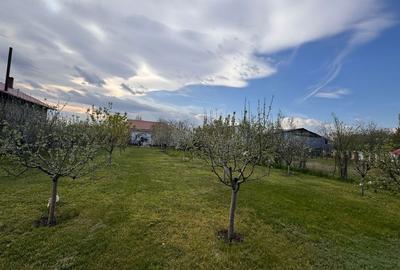 Casă cu 3 camere în Poșta Câlnău - 2