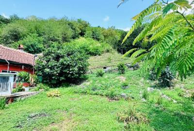 Casă la cheie în Caraș-Severin – mutare imediată - 8