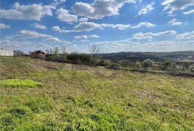 Teren de 1107 mp, în Paleu - 2