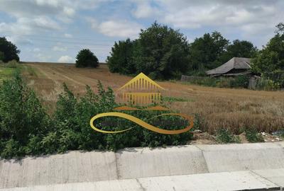 Teren intravilan 5400 mp de vanzare Filipesti / Bacau - 2