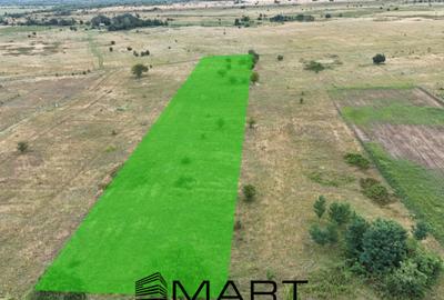 Teren de 5000 mp, în Avrig - 4