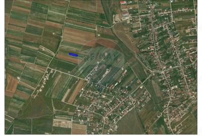 Teren de 1417 mp, în Cihei - 6