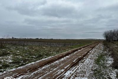 Spațiu comercial, în Coșoveni - 2