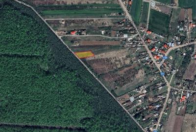 Teren intravilan 2000 mp,  Silistea Snagovului - Front PADURE( 38 ml Front - 3