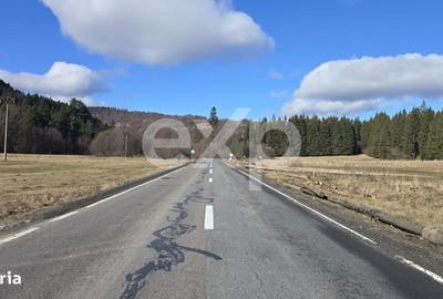 Teren de 19200 mp, în Brădet - 3