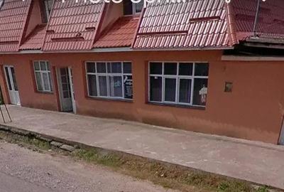 Spatiu comercial Balda - 2