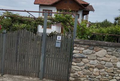 Casă cu 2 camere cu Teren 8000 Mp în Budieni - 4