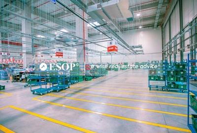 Spațiu industrial, de 2,200 mp, în Chitila - 3