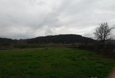 Teren în Șcheia - 1