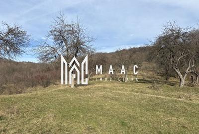 Teren  extravilan I 5300 mpI  Salatrucel -Calimanesti - 2