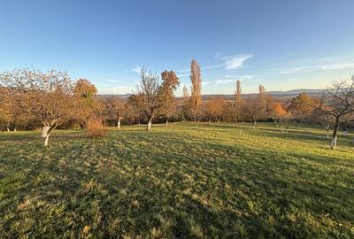 Teren de vanzare Unguras - 6