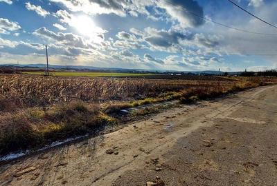 Teren de 750 mp, în Cuzdrioara - 3