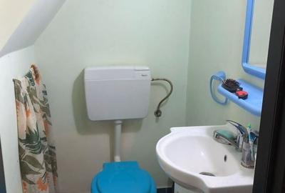 2 Camere Semidecomandat Centrala Proprie Drumul Gazarului - 6