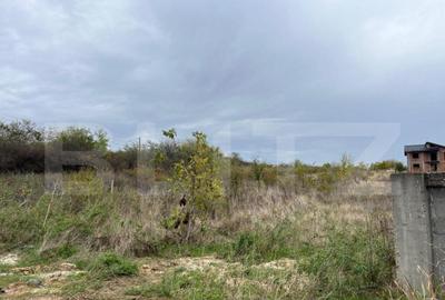 Teren 3400 mp, zona Carcea la E70/str Craiovei - 4