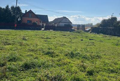 Teren intravilan, 518 mp,, front asfalt, utilitati Teren intravilan, 518 mp,, front asfalt, utilitati - 2