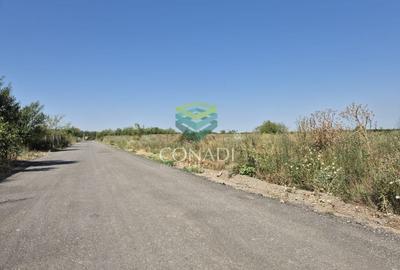 Teren de vanzare cu autorizatie pentru 2 hale - Otopeni - 10.000 mp - 9