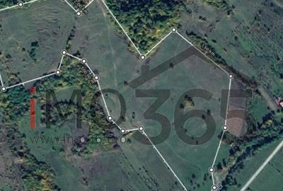 Teren 15 Hectare in sat | Mihaesti | Arges - 3