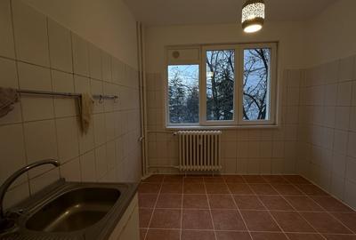 Apartament cu 3 camere semidecomandat în Nicolae Grigorescu - 4