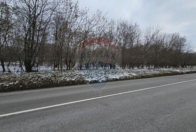 Teren 10,000mp Radaseni / Soseaua DN2-E85, judetul Suceava